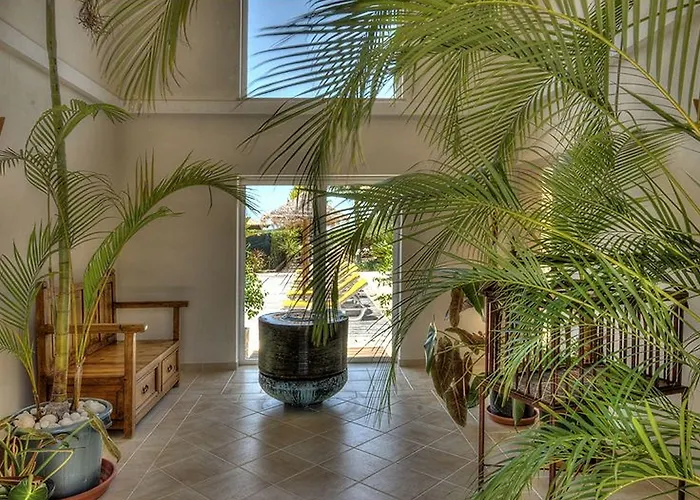 Bed & Breakfast Casa Canavial Luz